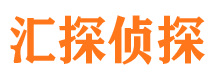 隆子侦探公司